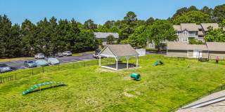 Steeplechase Gallery 27