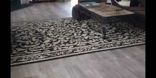 2613 Vega Court 2613 Vega Court Gallery 1