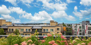 Avant Apartments - Student Housing Gallery 35