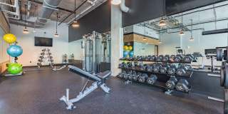 The Lola The Lola Gallery 25