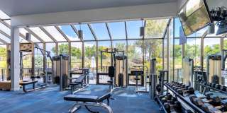 Reflections on 92nd Gallery 13