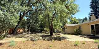 Remodeled one story home in highly desirable Alamo with huge park like yard ! Remodeled one story home in highly desirable Alamo with huge park like yard ! Gallery 35