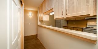 Park Villa Gallery 17