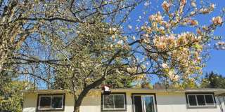 Charming 4BR Home with Huge Yard - W/D and Garage Gallery 14