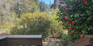 Beautiful 3 Bed + Bonus Room, 2.5 Bath Home! Gallery 14