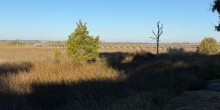 131 Rio Del Mar Street - CUnit C Gallery 10