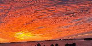 7430 SUNSHINE SKYWAY LANE S Gallery 36