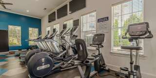 The Maddox Gallery 38