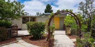 Renovated Post-Modern with Sweeping Canyon Views Gallery 1