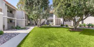 Ocean Vista Gallery 5