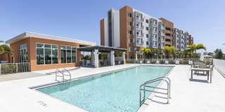 Veridian Shores Gallery 28