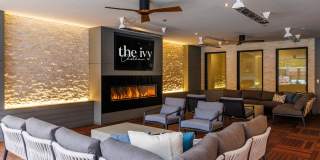 The Ivy Gallery 44