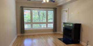 1057 W Thorndale Avenue Gallery 3