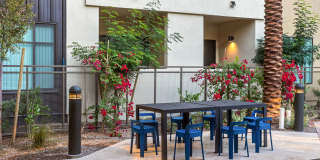 DC Heights Gallery 8