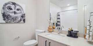 Vicino Bellevue Gallery 25