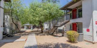 Agave Court Gallery 14