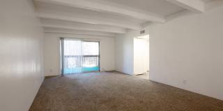 Los Altos Towers Gallery 24