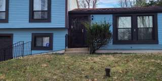 6258 TAMAR Drive Gallery 1