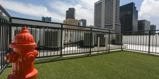 Solera Apartments Gallery 7