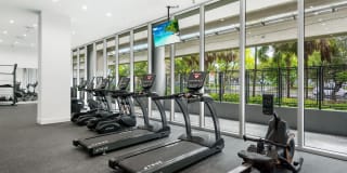 Zoi House Gallery 11