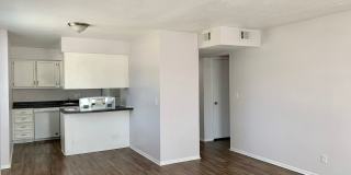 Pine Tree Flats Gallery 30