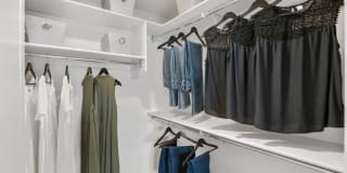 Palms Luxury Apartments Gallery 20