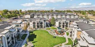 Carrington Square Gallery 22