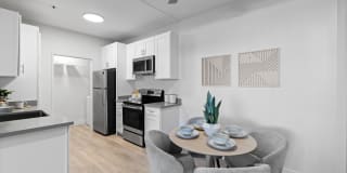 Terra at Portola Park Gallery 6