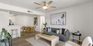 Parklane Commons Gallery 8