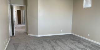 Desert Color Home -  Internet Included! Gallery 14