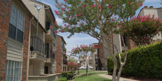 Hunter's Court Gallery 18