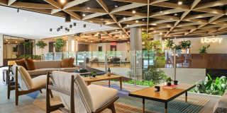 Birch House Gallery 15