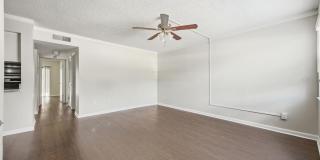 3102 W HORATIO STREET Gallery 11