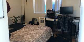 7 bedrooms $1000 each w/ SPA Gallery 51