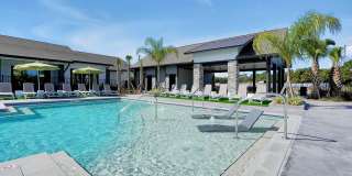 Evolve Palm Coast Gallery 1