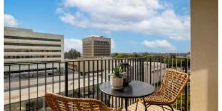 The DeMilo Gallery 15