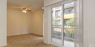 Geno Baroni Gallery 12