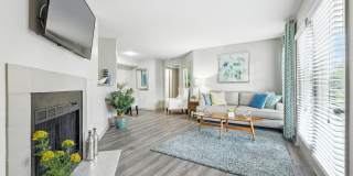 The Metropolitan Gallery 1