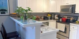 829 Ruffin Street Gallery 33