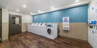 Deerfield Beach Gallery 15