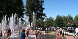 Madrona Place Gallery 21