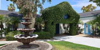 Mariposa Gallery 2