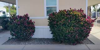 320 East Mckellips Road 320 East Mckellips Road Gallery 1