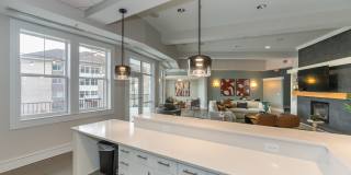 The Encore Gallery 6