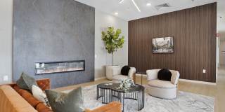 The Whitney Gallery 15