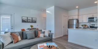 Red Hawk and Laurel Grey Gallery 17