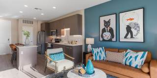 Alta Avondale Gallery 2