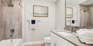 Alas Over Lowry Gallery 25