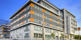 Oregon 42 Gallery 29