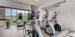 Springs at 2534 Gallery 31